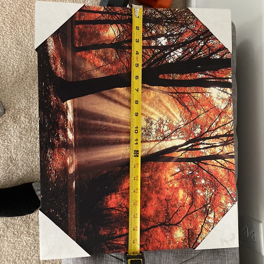 Wall Decor - Picture 2 of 5